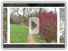 Moon's Moat 28th February 2016