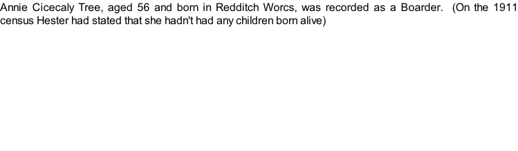 Annie Cicecaly Tree, aged 56 and born in Redditch Worcs, was recorded as a Boarder.  (On the 1911 census Hester had stated that she hadn't had any children born alive)