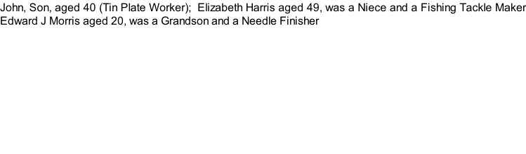 John, Son, aged 40 (Tin Plate Worker);  Elizabeth Harris aged 49, was a Niece and a Fishing Tackle Maker Edward J Morris aged 20, was a Grandson and a Needle Finisher