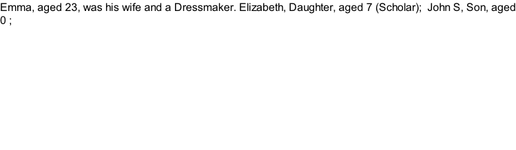 Emma, aged 23, was his wife and a Dressmaker. Elizabeth, Daughter, aged 7 (Scholar);  John S, Son, aged 0 ;
