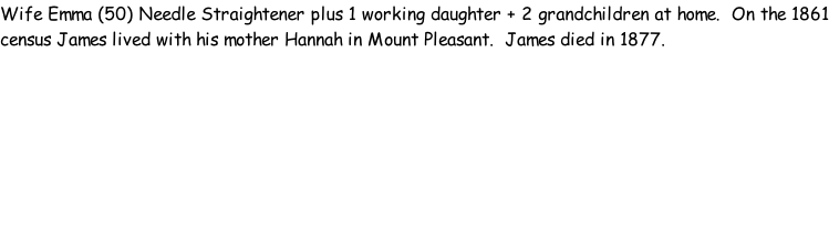 Wife Emma (50) Needle Straightener plus 1 working daughter + 2 grandchildren at home.  On the 1861 census James lived with his mother Hannah in Mount Pleasant.  James died in 1877.