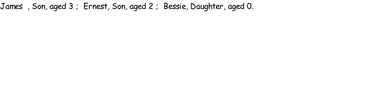 James  , Son, aged 3 ;  Ernest, Son, aged 2 ;  Bessie, Daughter, aged 0.