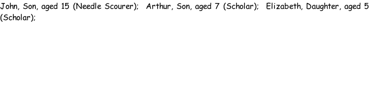 John, Son, aged 15 (Needle Scourer);  Arthur, Son, aged 7 (Scholar);  Elizabeth, Daughter, aged 5 (Scholar);