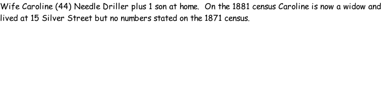 Wife Caroline (44) Needle Driller plus 1 son at home.  On the 1881 census Caroline is now a widow and lived at 15 Silver Street but no numbers stated on the 1871 census.