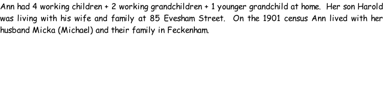 Ann had 4 working children + 2 working grandchildren + 1 younger grandchild at home.  Her son Harold was living with his wife and family at 85 Evesham Street.  On the 1901 census Ann lived with her husband Micka (Michael) and their family in Feckenham.