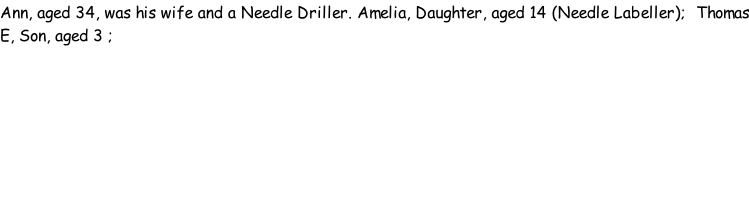 Ann, aged 34, was his wife and a Needle Driller. Amelia, Daughter, aged 14 (Needle Labeller);  Thomas E, Son, aged 3 ;