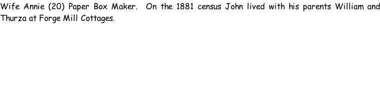 Wife Annie (20) Paper Box Maker.  On the 1881 census John lived with his parents William and Thurza at Forge Mill Cottages.