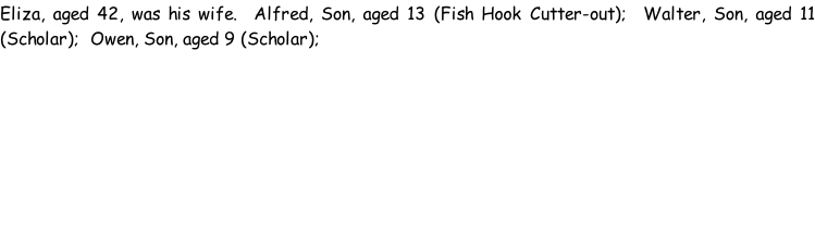 Eliza, aged 42, was his wife.  Alfred, Son, aged 13 (Fish Hook Cutter-out);  Walter, Son, aged 11 (Scholar);  Owen, Son, aged 9 (Scholar);