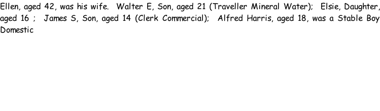 Ellen, aged 42, was his wife.  Walter E, Son, aged 21 (Traveller Mineral Water);  Elsie, Daughter, aged 16 ;  James S, Son, aged 14 (Clerk Commercial);  Alfred Harris, aged 18, was a Stable Boy Domestic