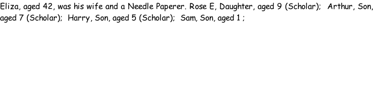 Eliza, aged 42, was his wife and a Needle Paperer. Rose E, Daughter, aged 9 (Scholar);  Arthur, Son, aged 7 (Scholar);  Harry, Son, aged 5 (Scholar);  Sam, Son, aged 1 ;